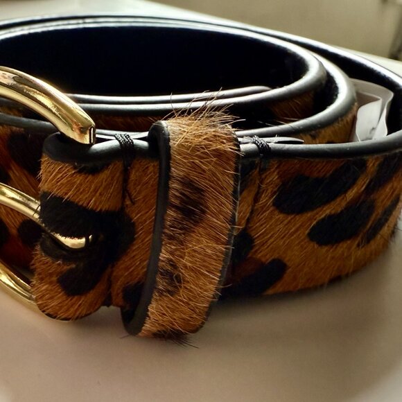 Zara Cheetah Belt with Gold Buckle Size L - Picture 4 of 6